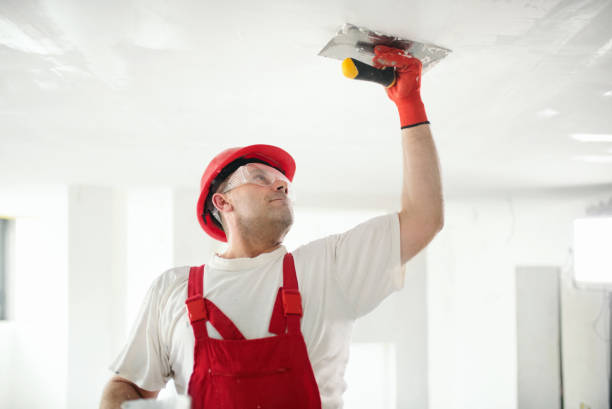 Best Eco-Friendly and Low-VOC Painting  in Sauk Centre, MN